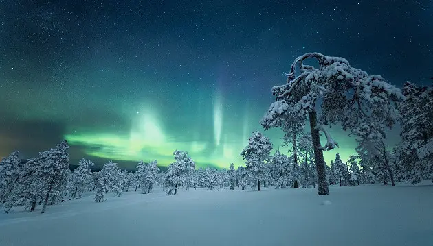 Net 6 d. kelionė į Laplandiją - Kalėdų stebuklų ir baltos žiemos šalį