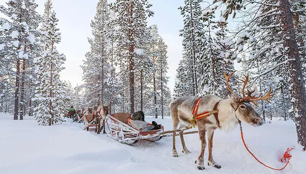 Pažintinė kelionė autobusu į Laplandiją - aplankykite Kalėdų senelio gimtinę
